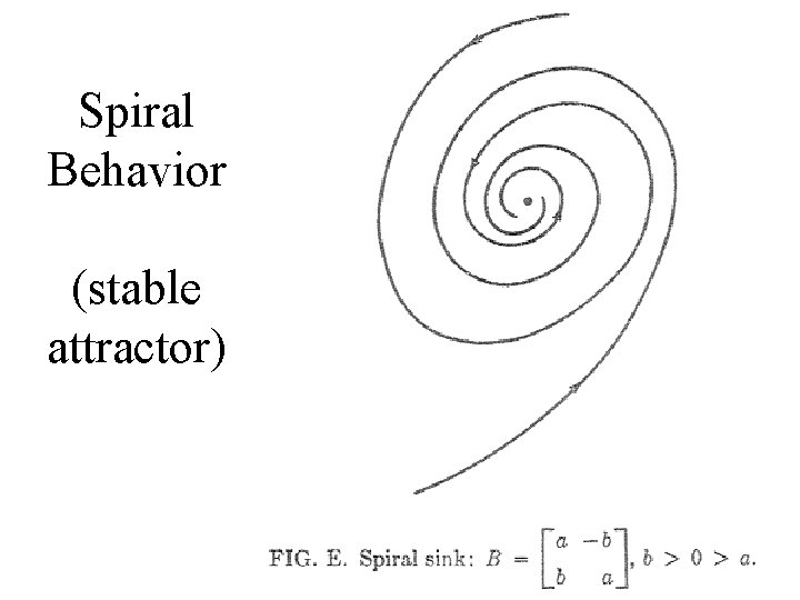 Spiral Behavior (stable attractor) 