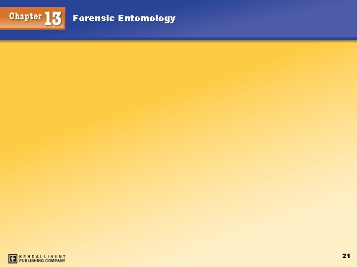 Forensic Entomology 21 Forensic Entomology 21