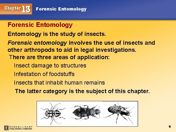 Forensic Entomology is the study of insects. Forensic entomology involves the use of insects