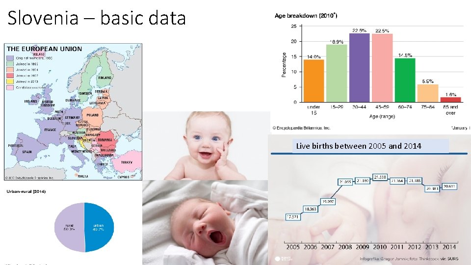 Slovenia – basic data Live births between 2005 and 2014 