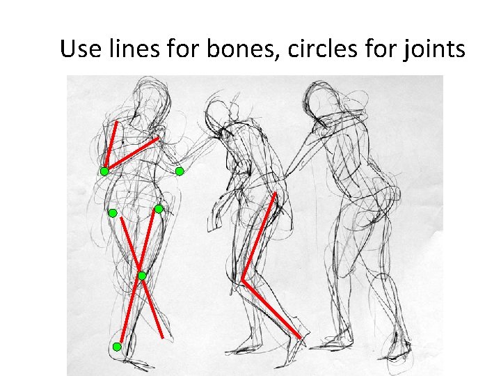 Use lines for bones, circles for joints 