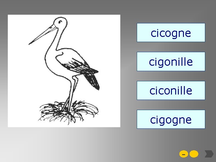 cicogne cigonille ciconille cigogne - 