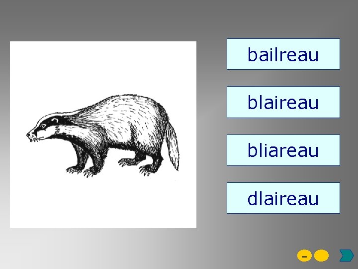 bailreau blaireau bliareau dlaireau - 