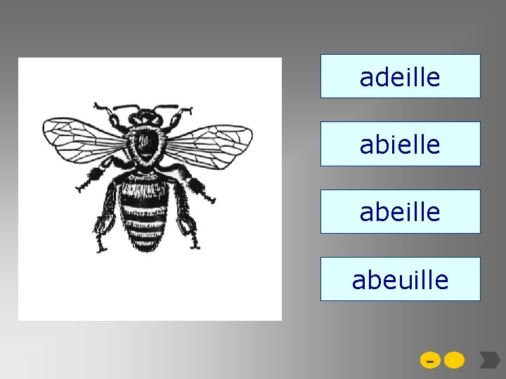 adeille abielle abeille abeuille - 