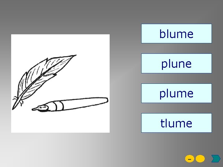 blume plune plume tlume - 