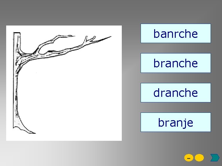 banrche branche dranche branje - 