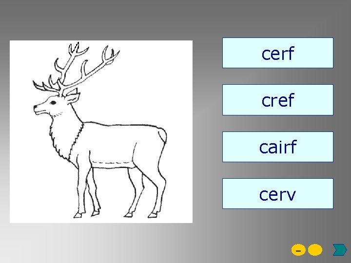 cerf cref cairf cerv - 