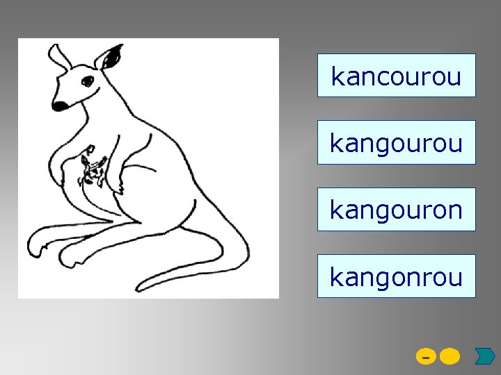 kancourou kangouron kangonrou - 