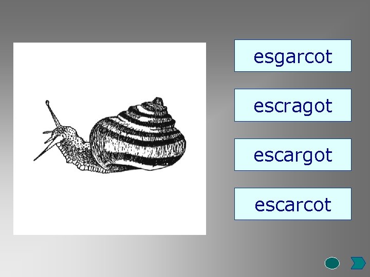 esgarcot escragot escarcot 