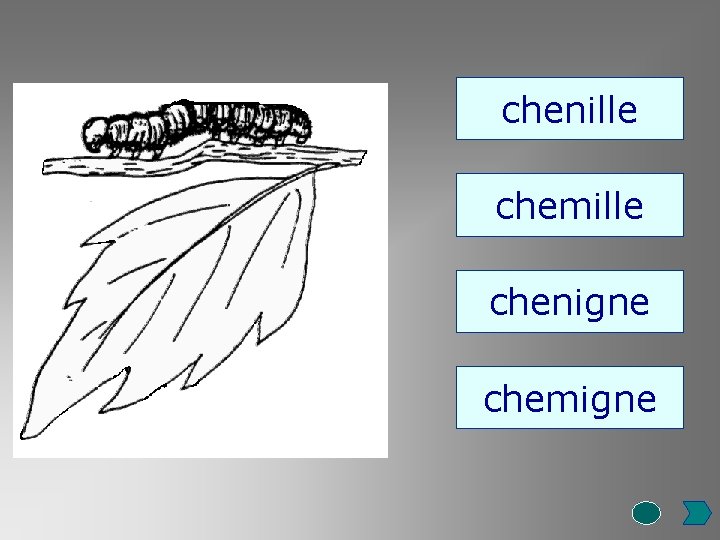 chenille chemille chenigne chemigne 