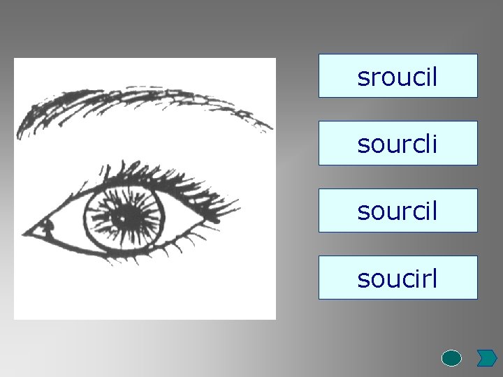 sroucil sourcli sourcil soucirl 