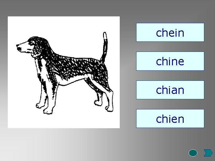 chein chine chian chien 