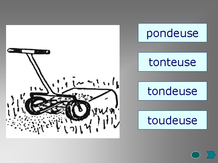 pondeuse tonteuse tondeuse toudeuse 