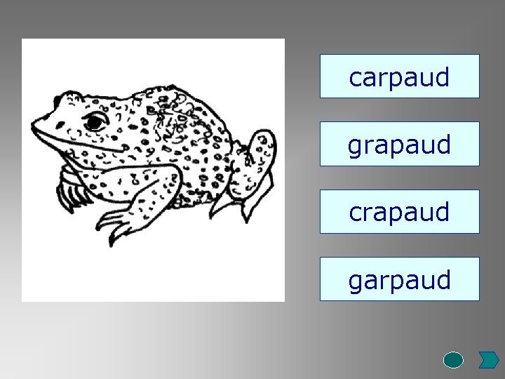 carpaud grapaud crapaud garpaud 