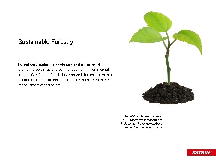 Sustainable Forestry Forest certification is a voluntary system aimed at promoting sustainable forest management