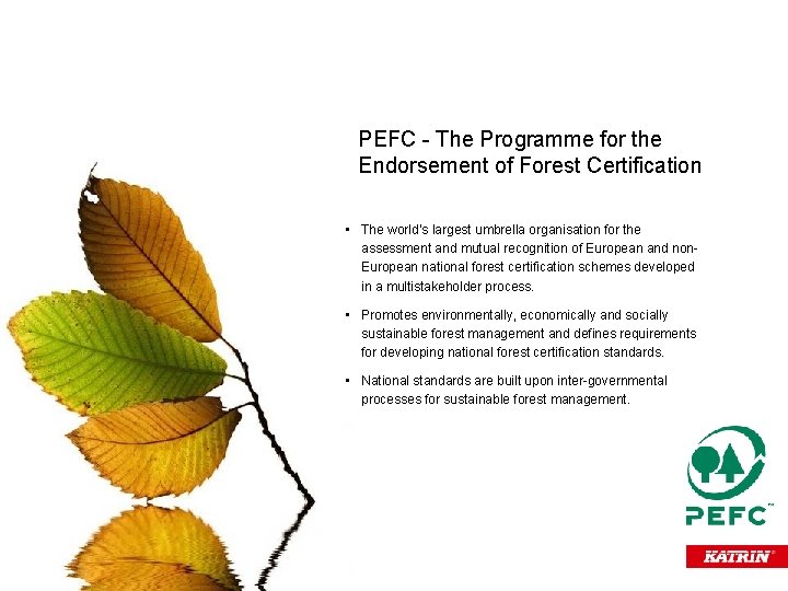 PEFC - The Programme for the Endorsement of Forest Certification • The world’s largest