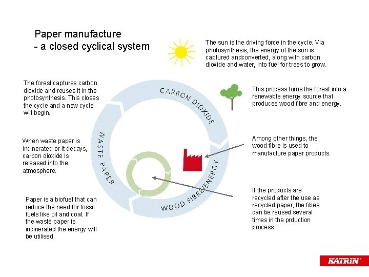 Paper manufacture - a closed cyclical system The forest captures carbon dioxide and reuses