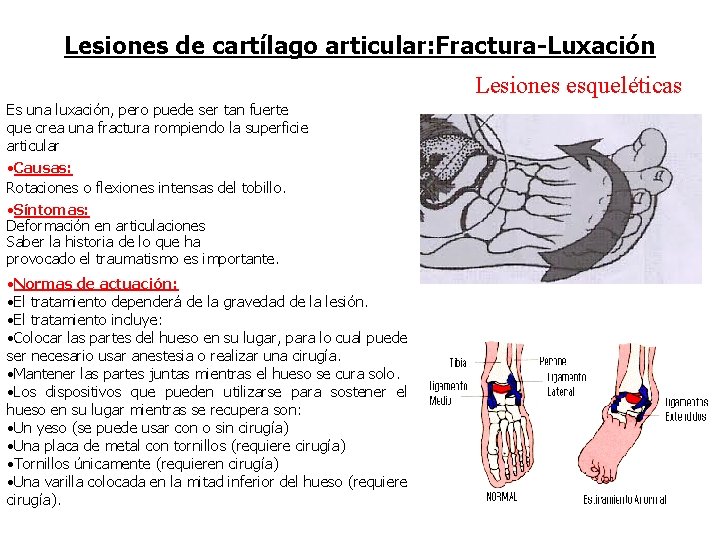 Lesiones de cartílago articular: Fractura-Luxación Lesiones esqueléticas Es una luxación, pero puede ser tan