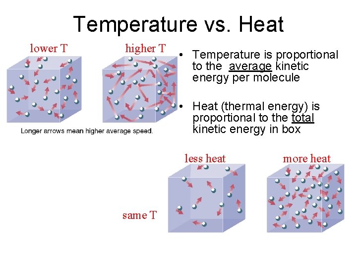 Temperature vs. Heat lower T higher T • Temperature is proportional to the average