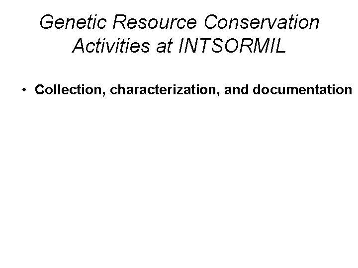 Genetic Resource Conservation Activities at INTSORMIL • Collection, characterization, and documentation 