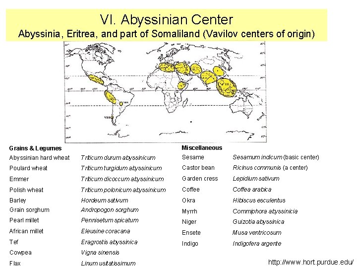 VI. Abyssinian Center Abyssinia, Eritrea, and part of Somaliland (Vavilov centers of origin) Miscellaneous