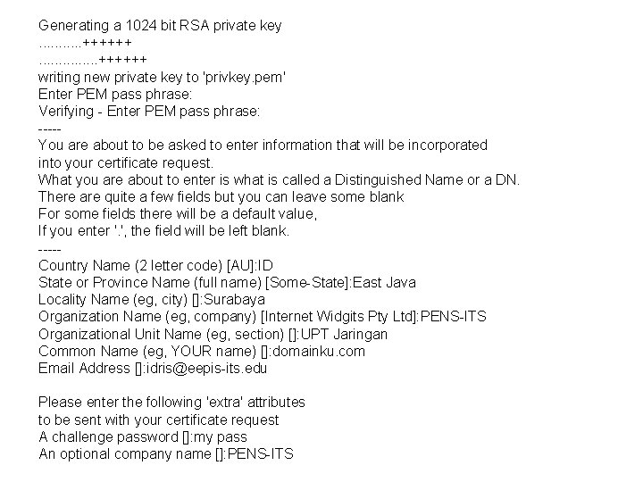 Generating a 1024 bit RSA private key. . . ++++++. . . . ++++++