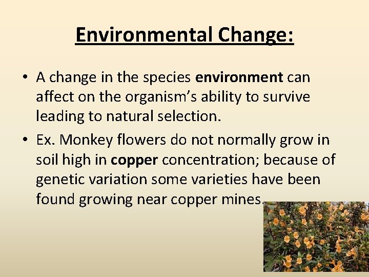 Environmental Change: • A change in the species environment can affect on the organism’s