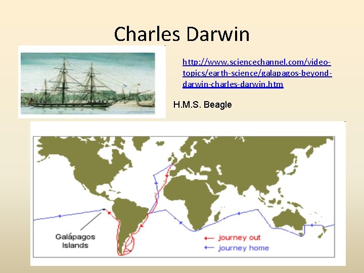 Charles Darwin http: //www. sciencechannel. com/videotopics/earth-science/galapagos-beyonddarwin-charles-darwin. htm H. M. S. Beagle 