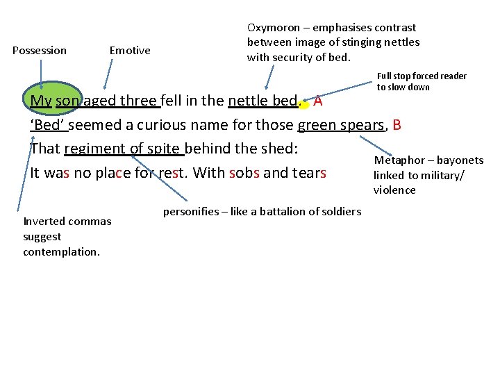 Possession Emotive Oxymoron – emphasises contrast between image of stinging nettles with security of