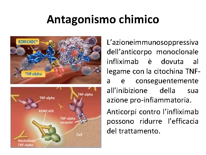 Antagonismo chimico L’azioneimmunosoppressiva dell’anticorpo monoclonale infliximab è dovuta al legame con la citochina TNFa