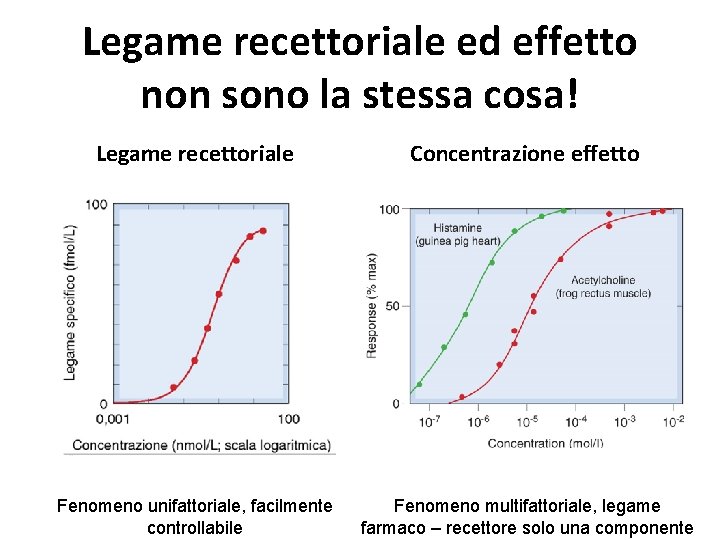 Legame recettoriale ed effetto non sono la stessa cosa! Legame recettoriale Concentrazione effetto Fenomeno