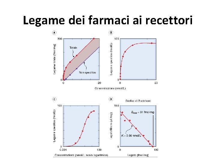 Legame dei farmaci ai recettori 
