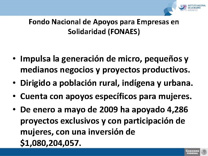 Fondo Nacional de Apoyos para Empresas en Solidaridad (FONAES) • Impulsa la generación de