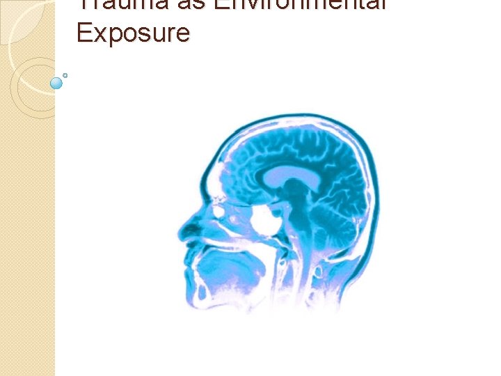 Trauma as Environmental Exposure 