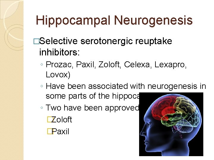Hippocampal Neurogenesis �Selective serotonergic reuptake inhibitors: ◦ Prozac, Paxil, Zoloft, Celexa, Lexapro, Lovox) ◦