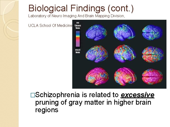 Biological Findings (cont. ) Laboratory of Neuro Imaging And Brain Mapping Division, UCLA School