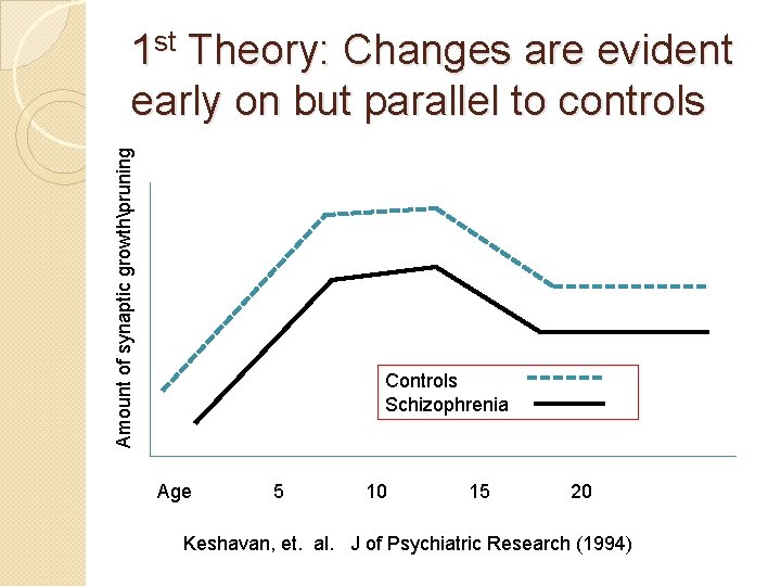 Amount of synaptic growthpruning 1 st Theory: Changes are evident early on but parallel