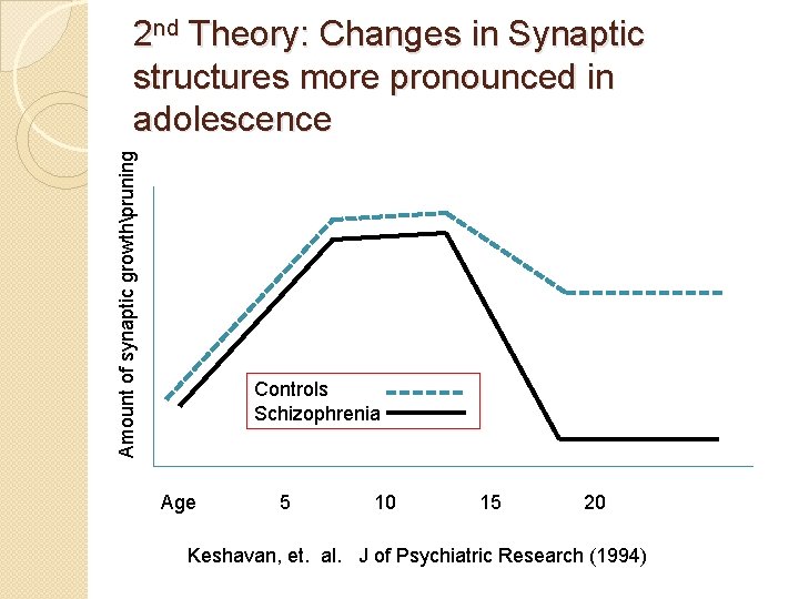 Amount of synaptic growthpruning 2 nd Theory: Changes in Synaptic structures more pronounced in