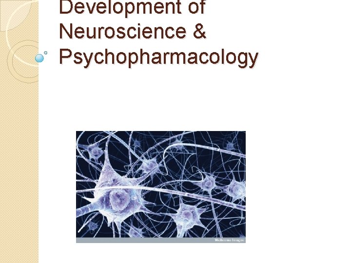 Development of Neuroscience & Psychopharmacology 