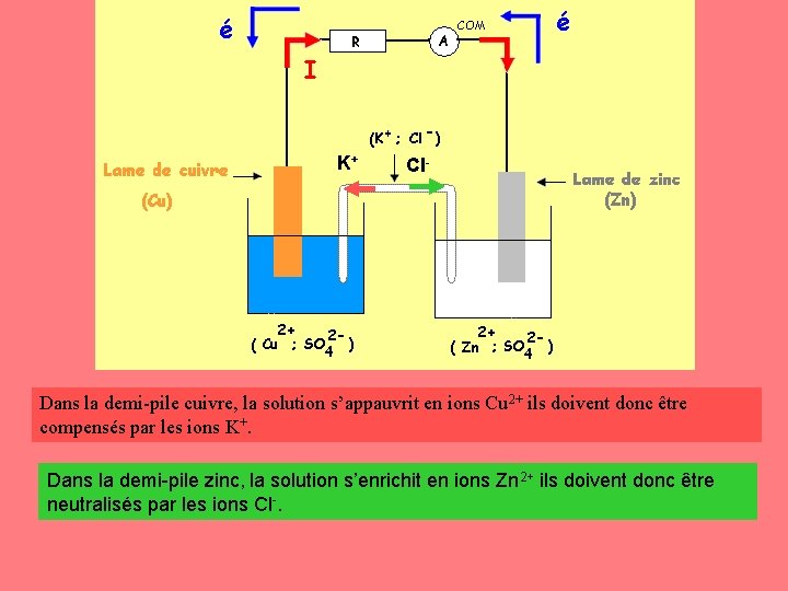 K+ Cl- Dans la demi-pile cuivre, la solution s’appauvrit en ions Cu 2+ ils