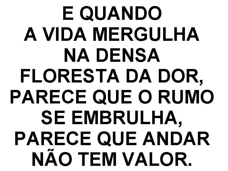 E QUANDO A VIDA MERGULHA NA DENSA FLORESTA DA DOR, PARECE QUE O RUMO