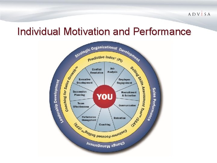Individual Motivation and Performance 
