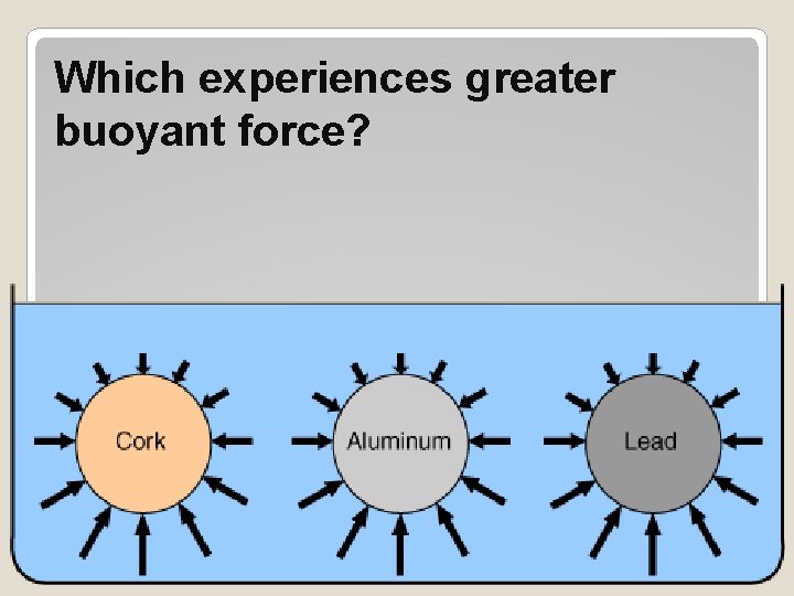 Which experiences greater buoyant force? 