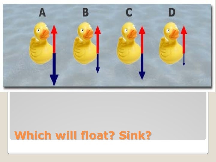 Which will float? Sink? 