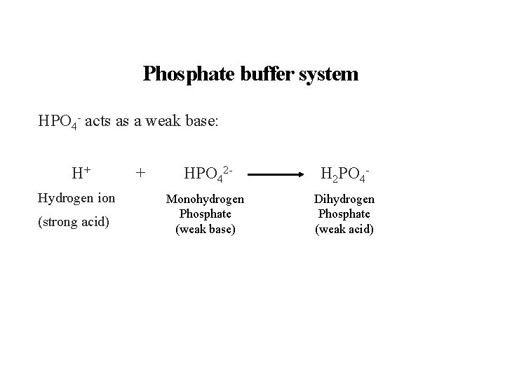 Phosphate buffer system HPO 4 - acts as a weak base: H+ Hydrogen ion