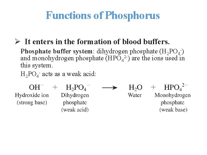 Functions of Phosphorus Ø It enters in the formation of blood buffers. Phosphate buffer