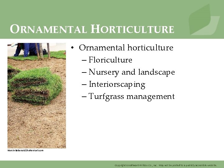 ORNAMENTAL HORTICULTURE • Ornamental horticulture – Floriculture – Nursery and landscape – Interiorscaping –