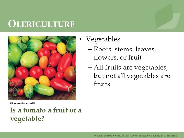 OLERICULTURE • Vegetables – Roots, stems, leaves, flowers, or fruit – All fruits are