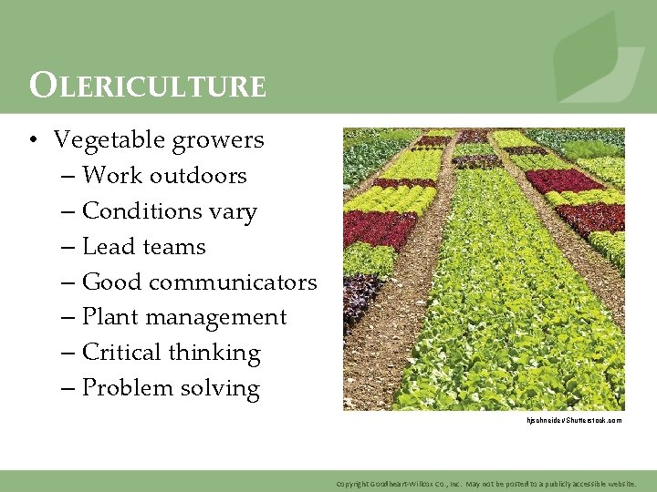 OLERICULTURE • Vegetable growers – Work outdoors – Conditions vary – Lead teams –