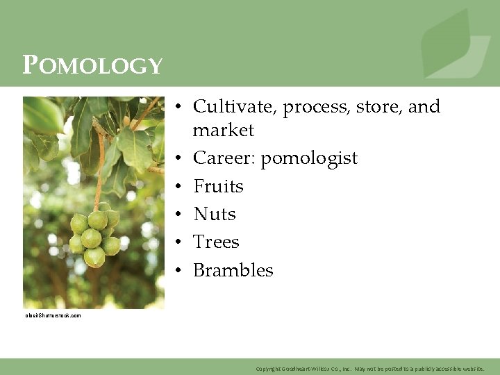 POMOLOGY • Cultivate, process, store, and market • Career: pomologist • Fruits • Nuts